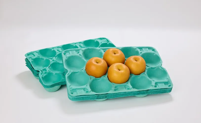 梨用トレー