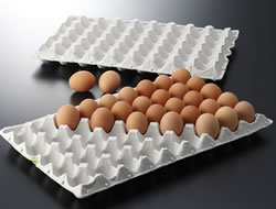 Commercial Egg Trays