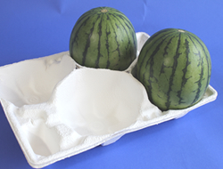 Watermelon Trays