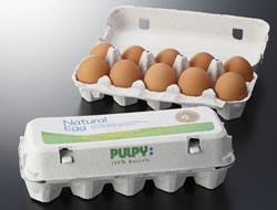 PULPY Egg Cartons
